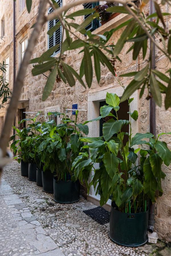 B&B Buza House Dubrovnik Buitenkant foto